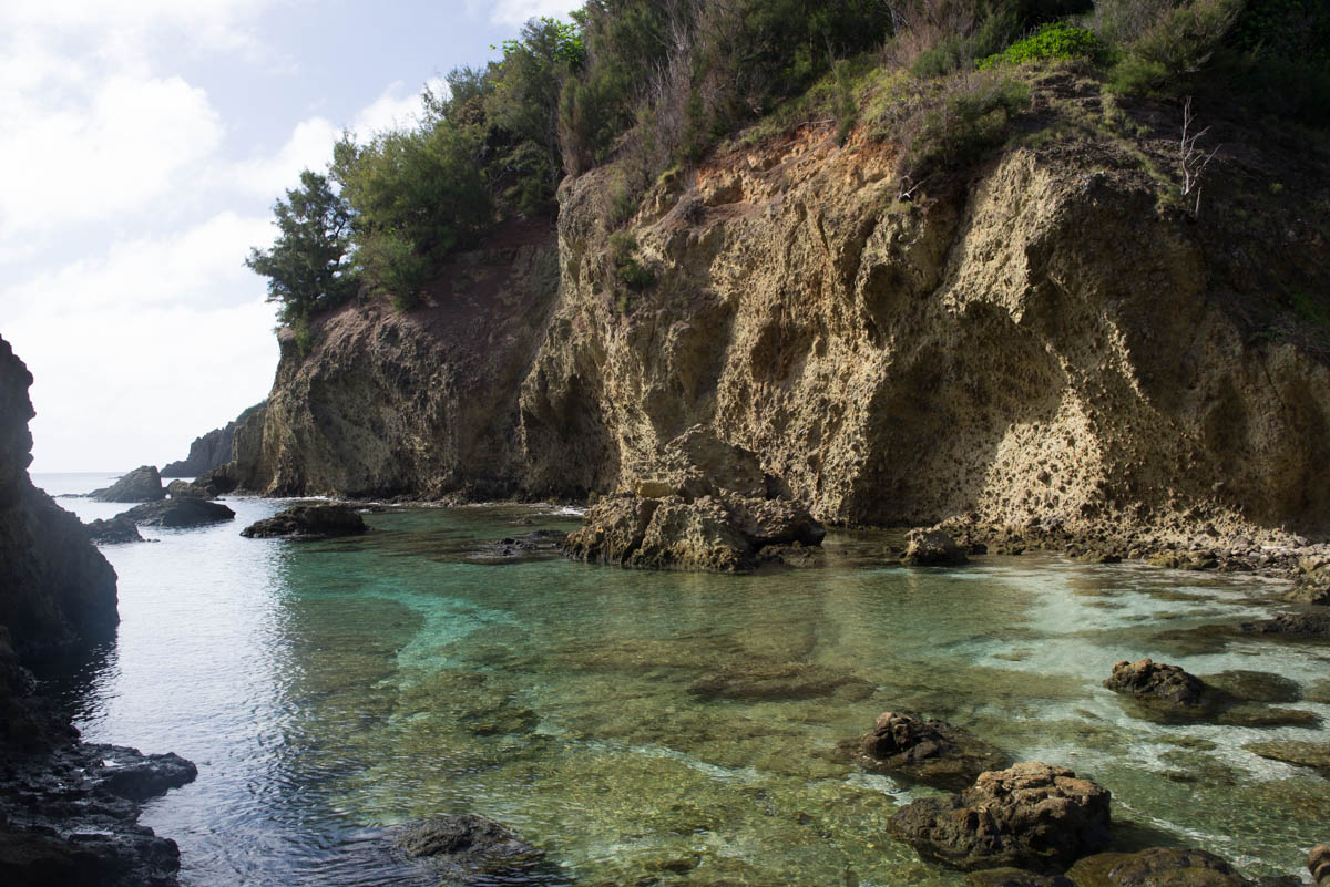 蓬莱根海岸 | 母島のみどころ