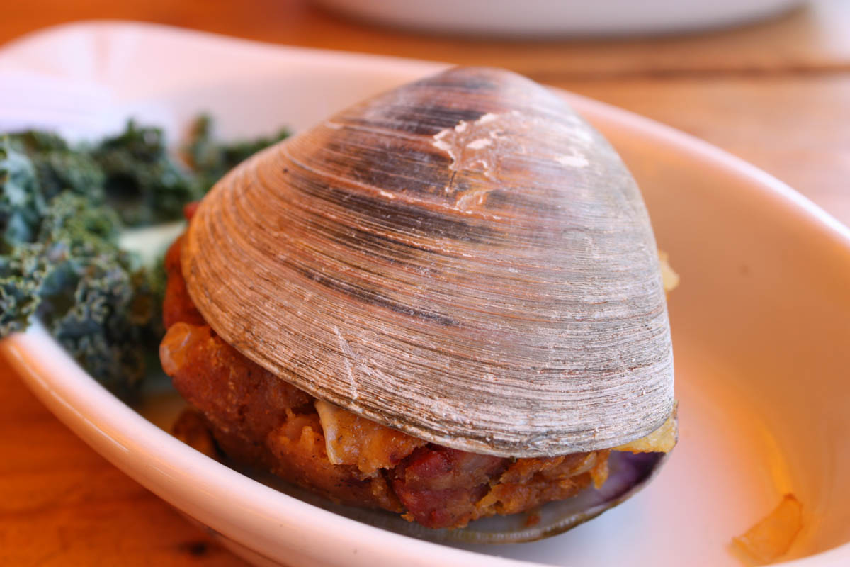 ホンビノスガイ | ボストン